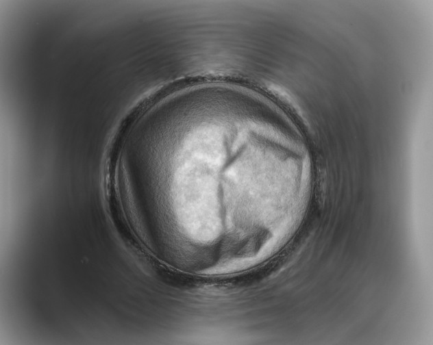 X0000088860680200707061051