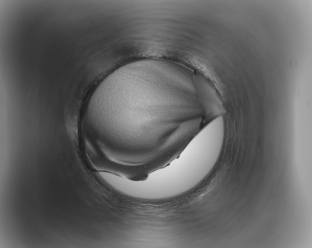 X0000088860681200707061051