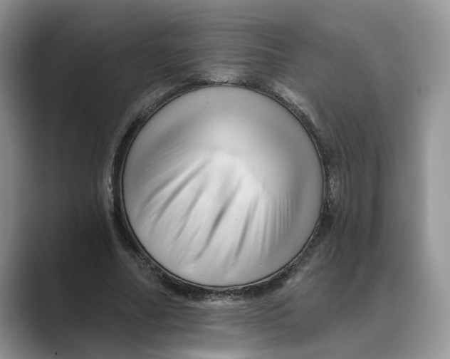 X0000088860682200707061051