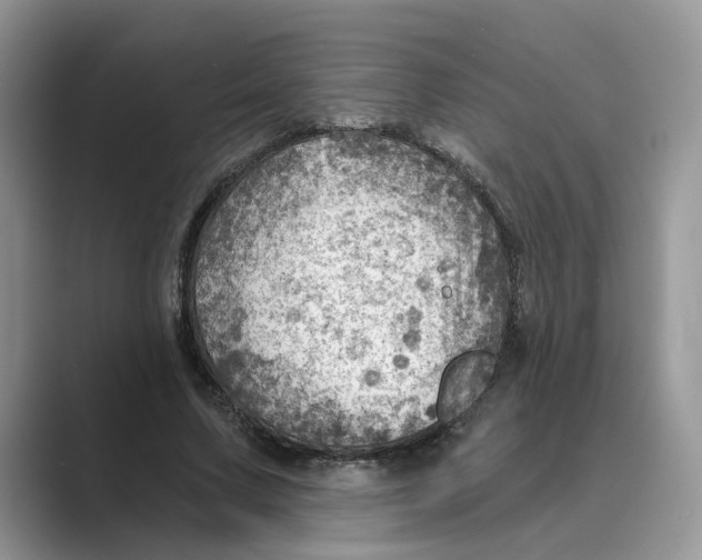 X0000088860683200707061051