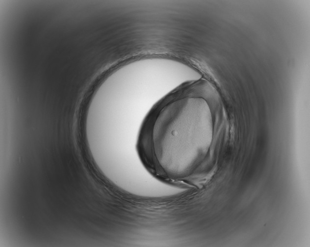 X0000088860684200707061051