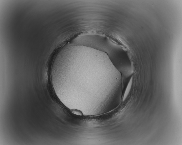 X0000088860685200707061051