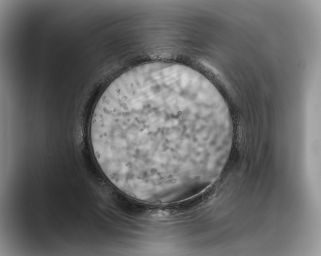 X0000088860687200707061051