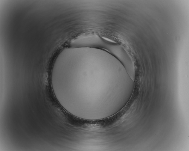 X0000088860689200707061051