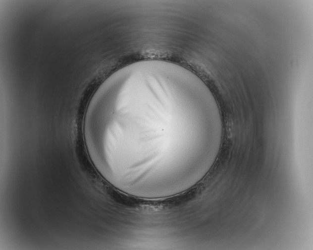 X0000088860690200707061051