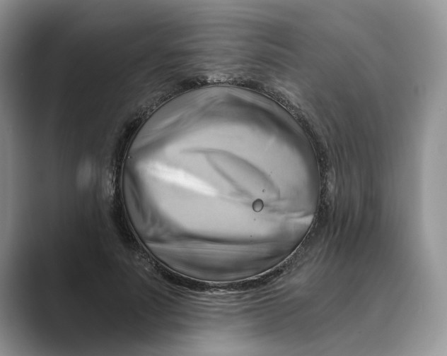 X0000088860691200707061051