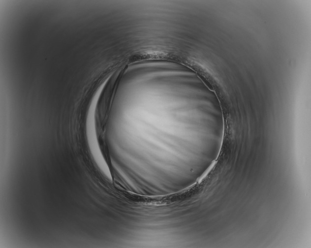 X0000088860692200707061051