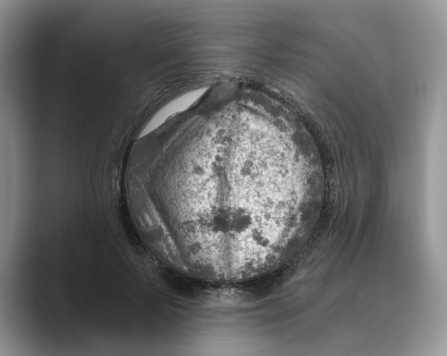 X0000088860695200707061051