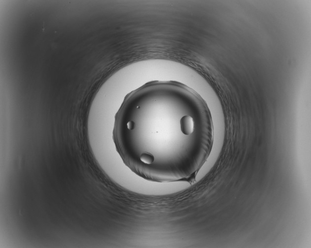 X0000088860696200707061051