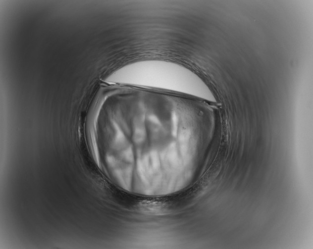 X0000088860699200707061051