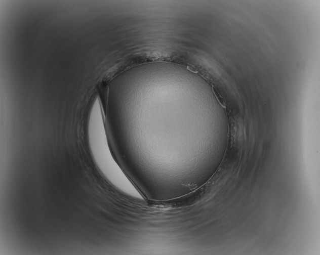 X0000088860700200707061051