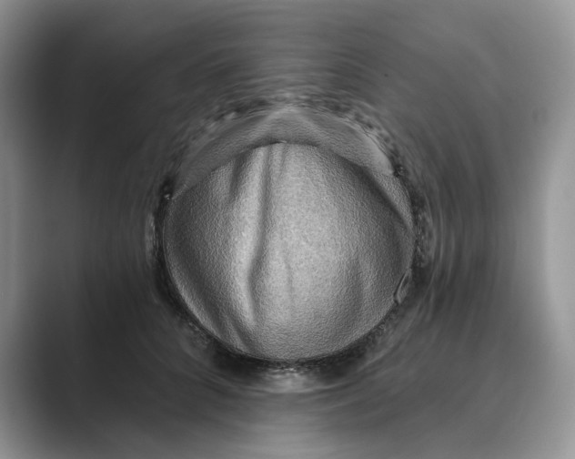 X0000088860704200707061051