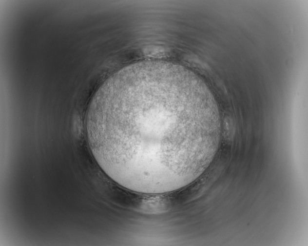 X0000088860705200707061051