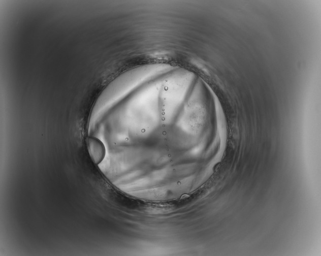 X0000088860707200707061051