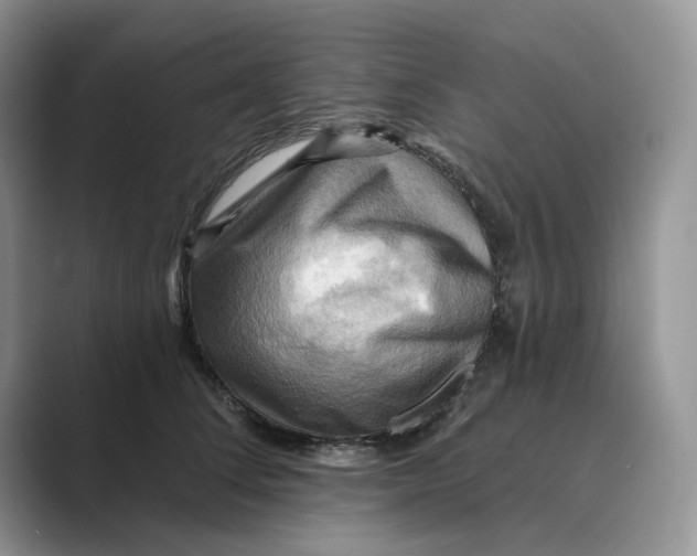 X0000088860708200707061051