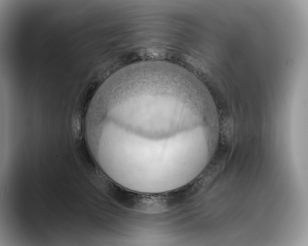 X0000088860709200707061051