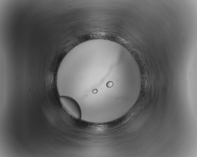 X0000088860711200707061051