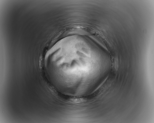 X0000088860712200707061051