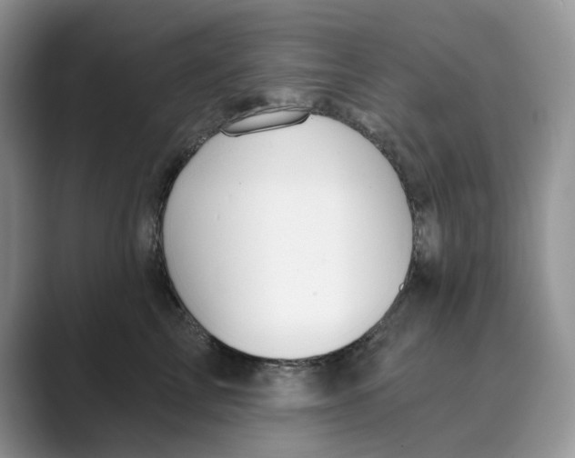 X0000088860713200707061051