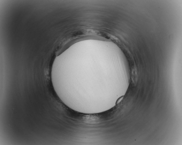 X0000088860714200707061051