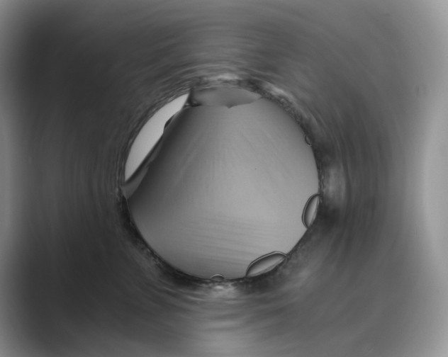 X0000088860715200707061051