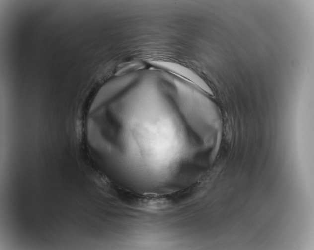 X0000088860716200707061051