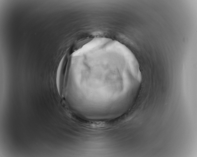 X0000088860720200707061051