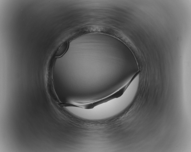 X0000088860722200707061050