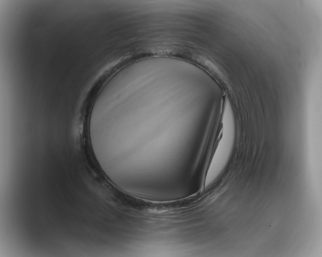 X0000088860723200707061050