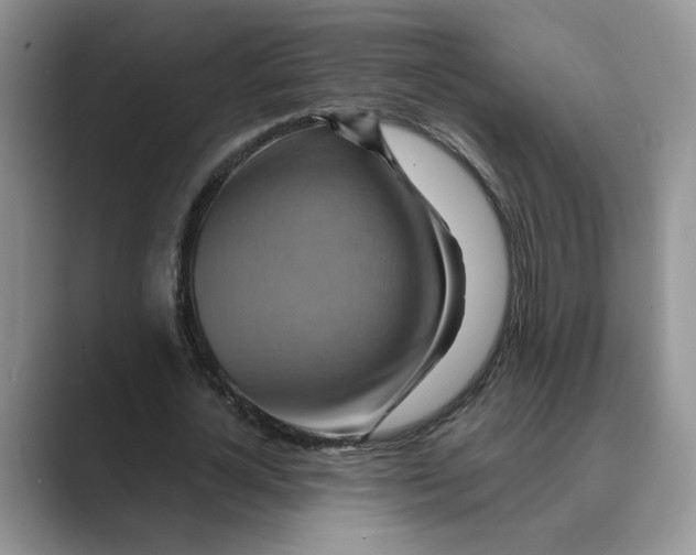 X0000088860724200707061050