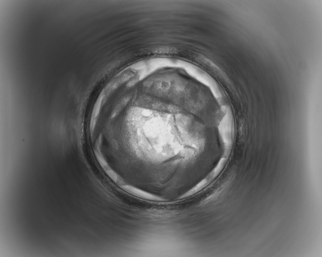 X0000088860725200707061050