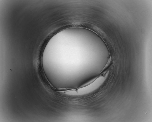 X0000088860728200707061050