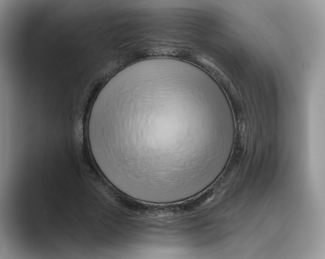 X0000088860729200707061050