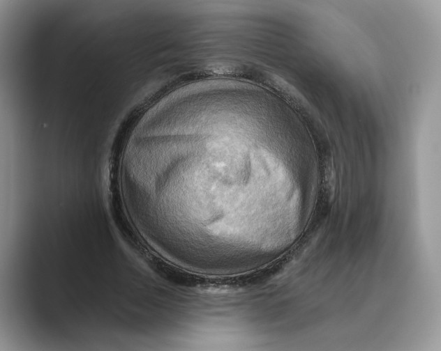 X0000088860730200707061050