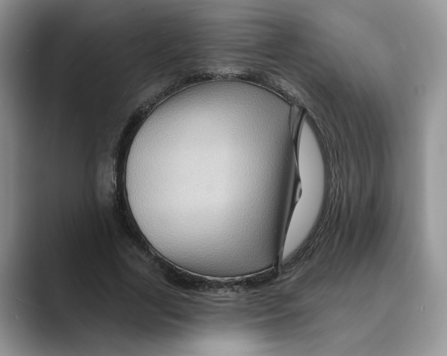 X0000088860731200707061050