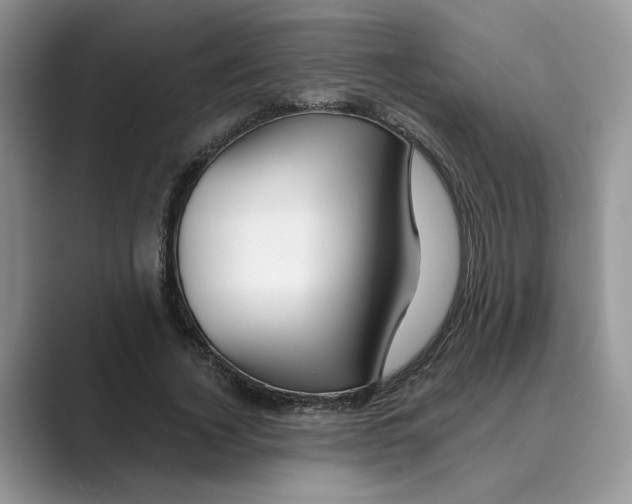 X0000088860732200707061050