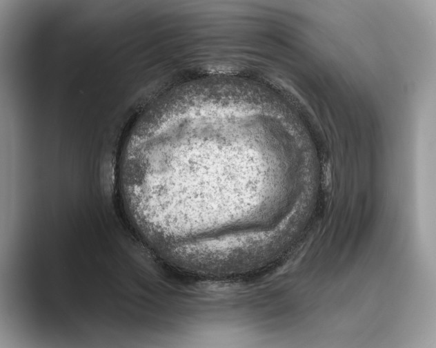 X0000088860733200707061050