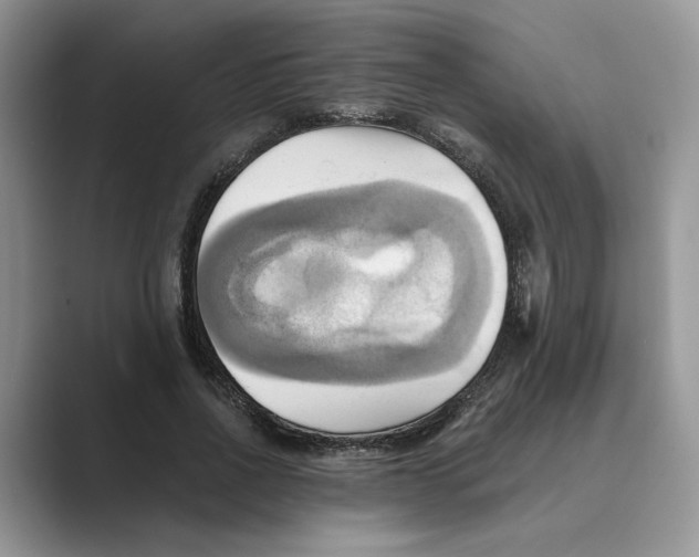 X0000088860734200707061050