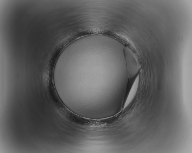 X0000088860736200707061050