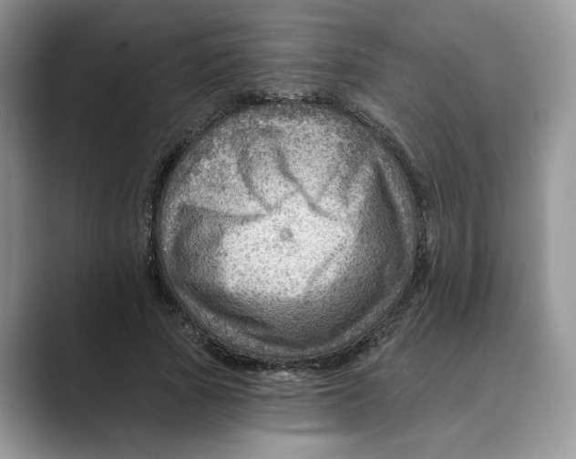 X0000088860737200707061050