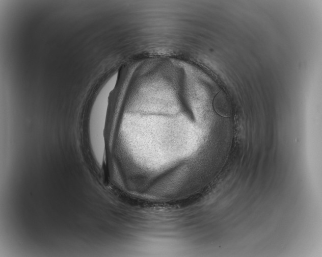 X0000088860738200707061050