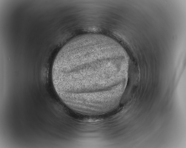 X0000088860739200707061050