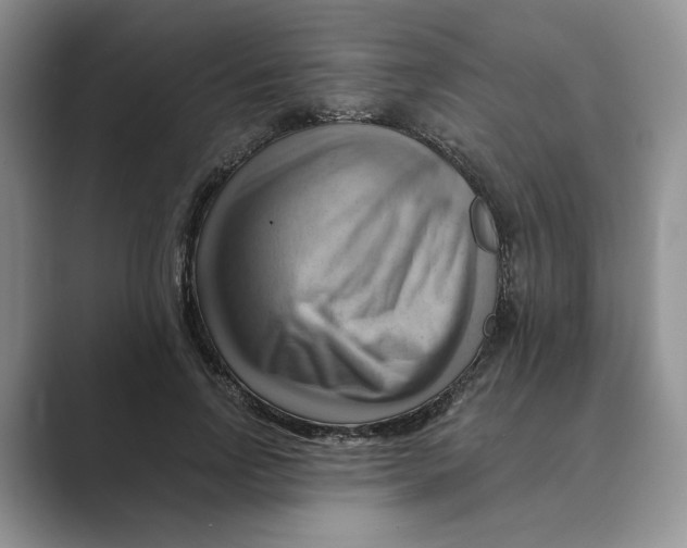 X0000088860742200707061050