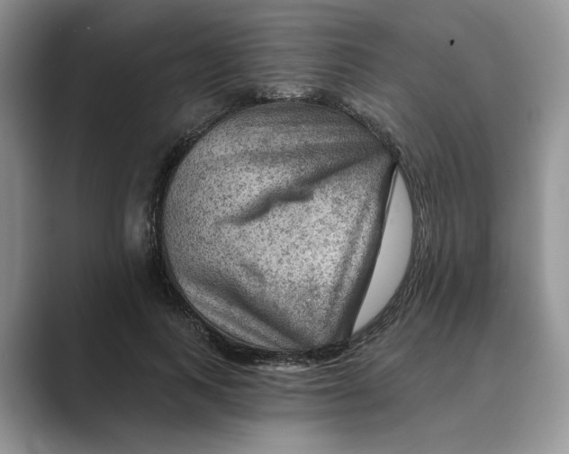 X0000088860743200707061050