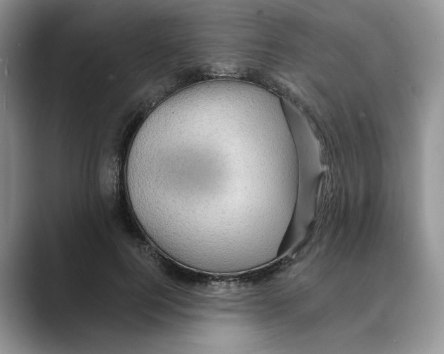 X0000088860744200707061050