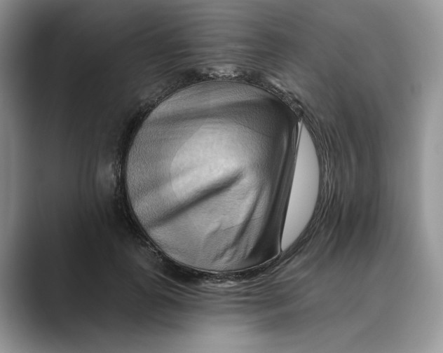 X0000088860747200707061050