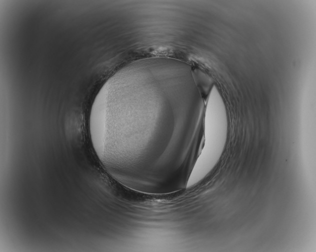 X0000088860748200707061050