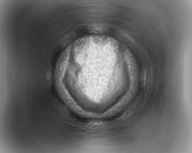 X0000088860749200707061050