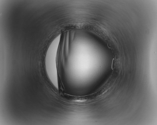 X0000088860750200707061050