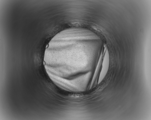 X0000088860751200707061050